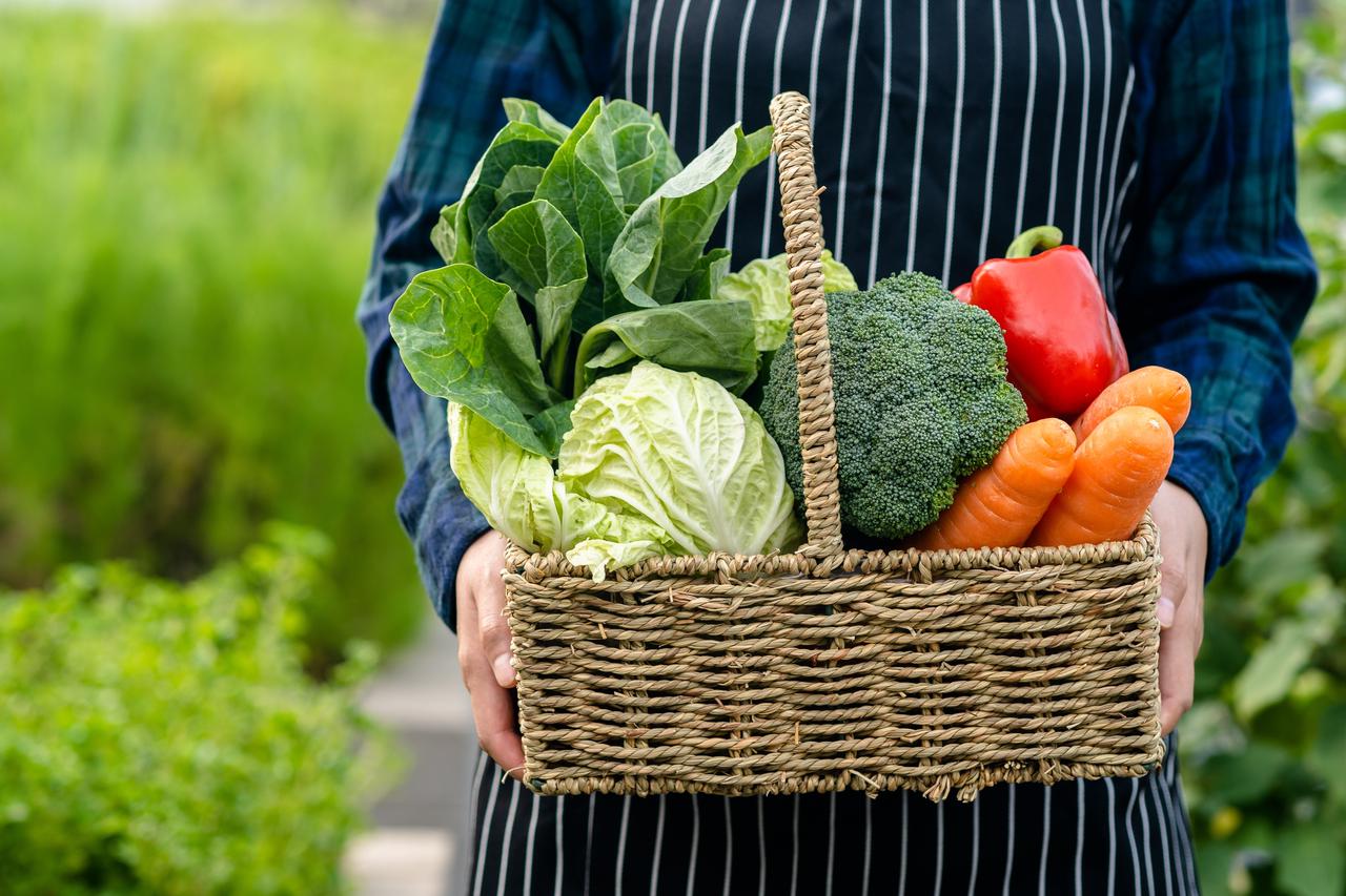 Seasonal Eating: How to Eat Healthy All Year Round