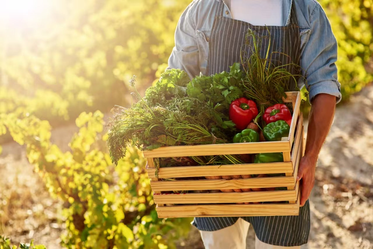 Sustainable Eating How to Choose Eco-Friendly Foods