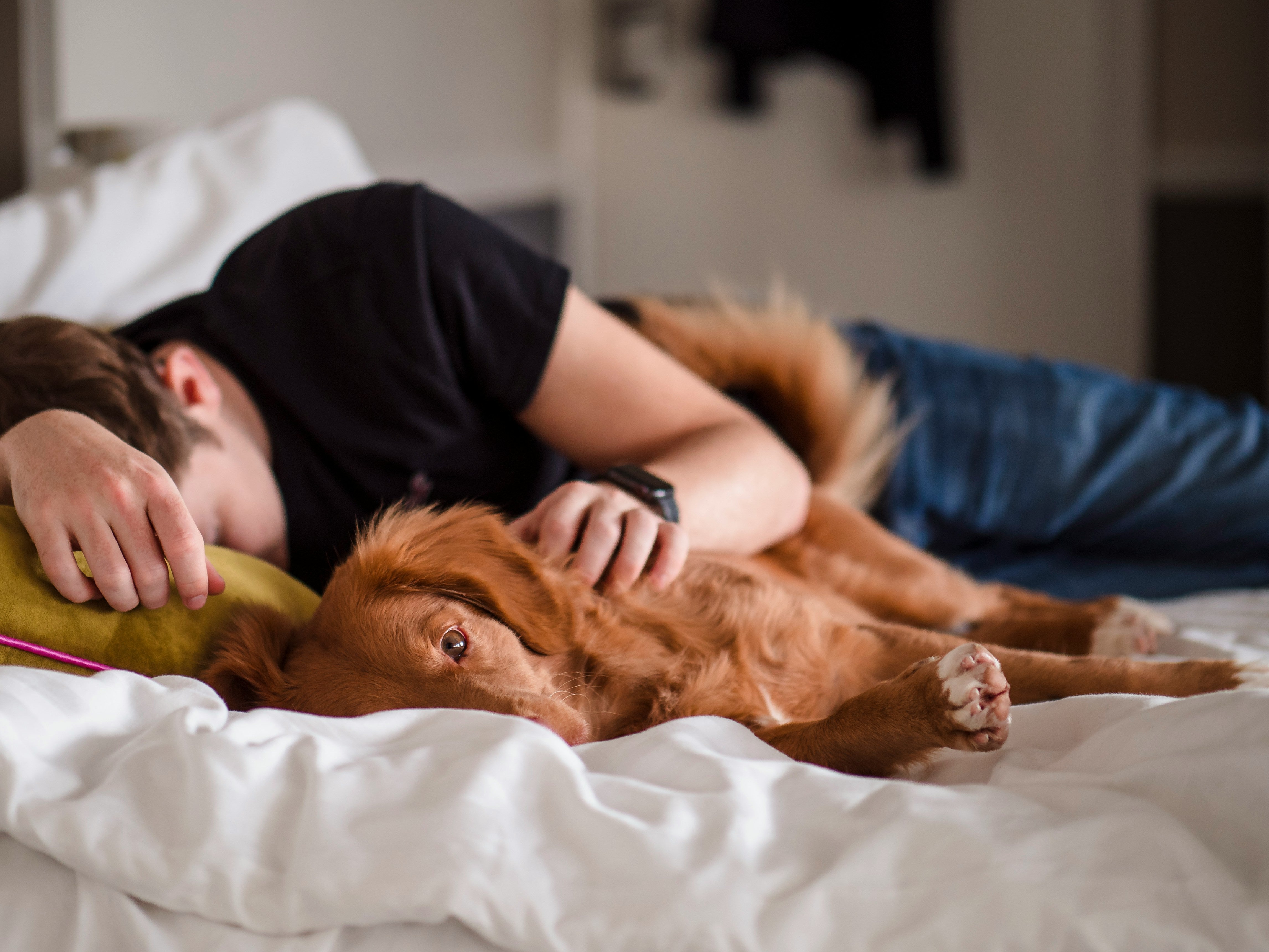 Don’t Let “Feelings” Fool You: Why We Often Misread Sleep